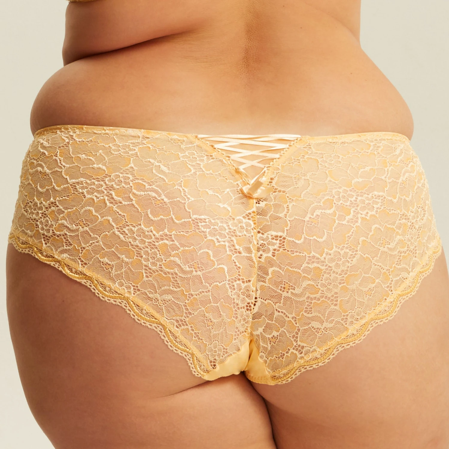 Boxer Mimosa LUCCIA HARMONY – Image 2